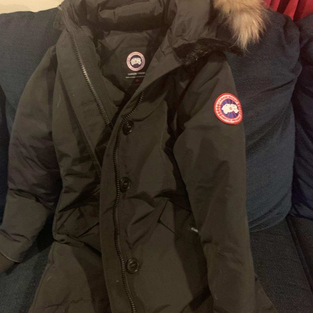 Canada goose Rossclair